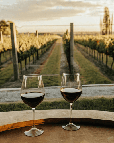 Bodega Mendoza para almorzar