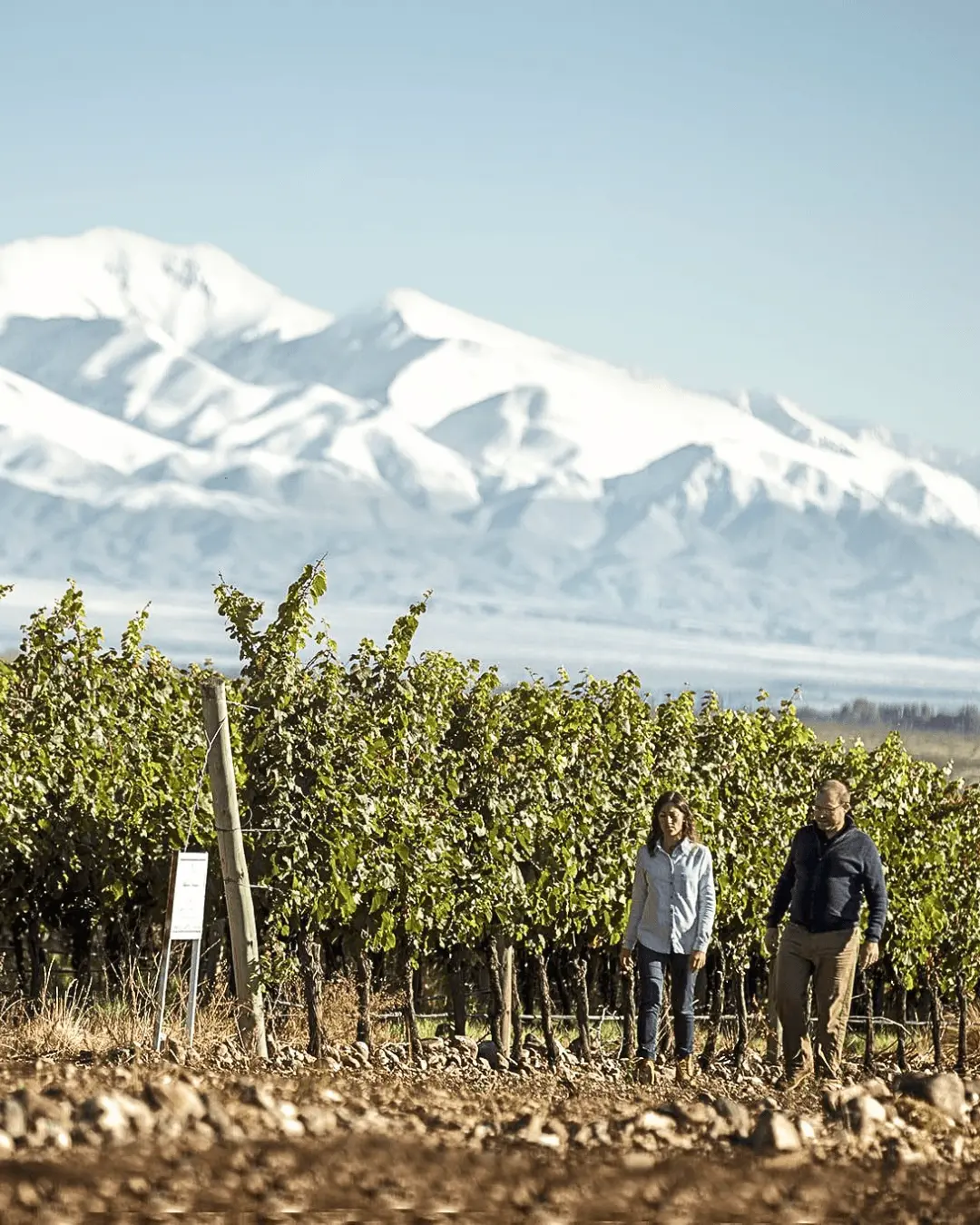 bodegas y vinos espumantes en mendoza capital