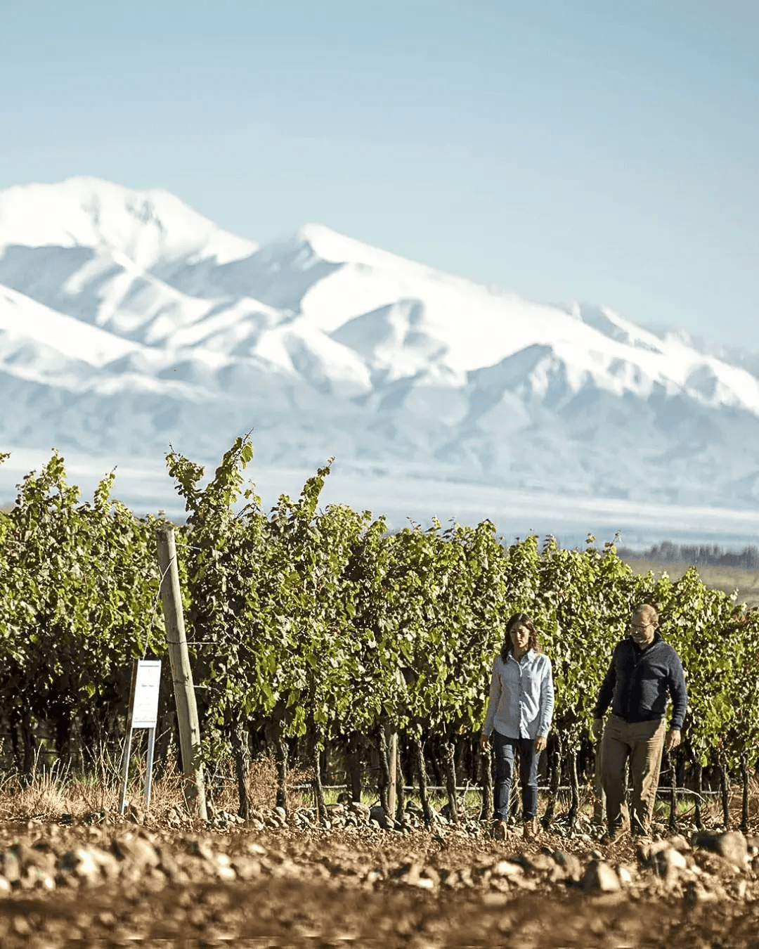 bodegas y vinos espumantes en mendoza capital
