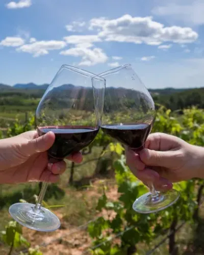 Tour Bodegas Mendoza