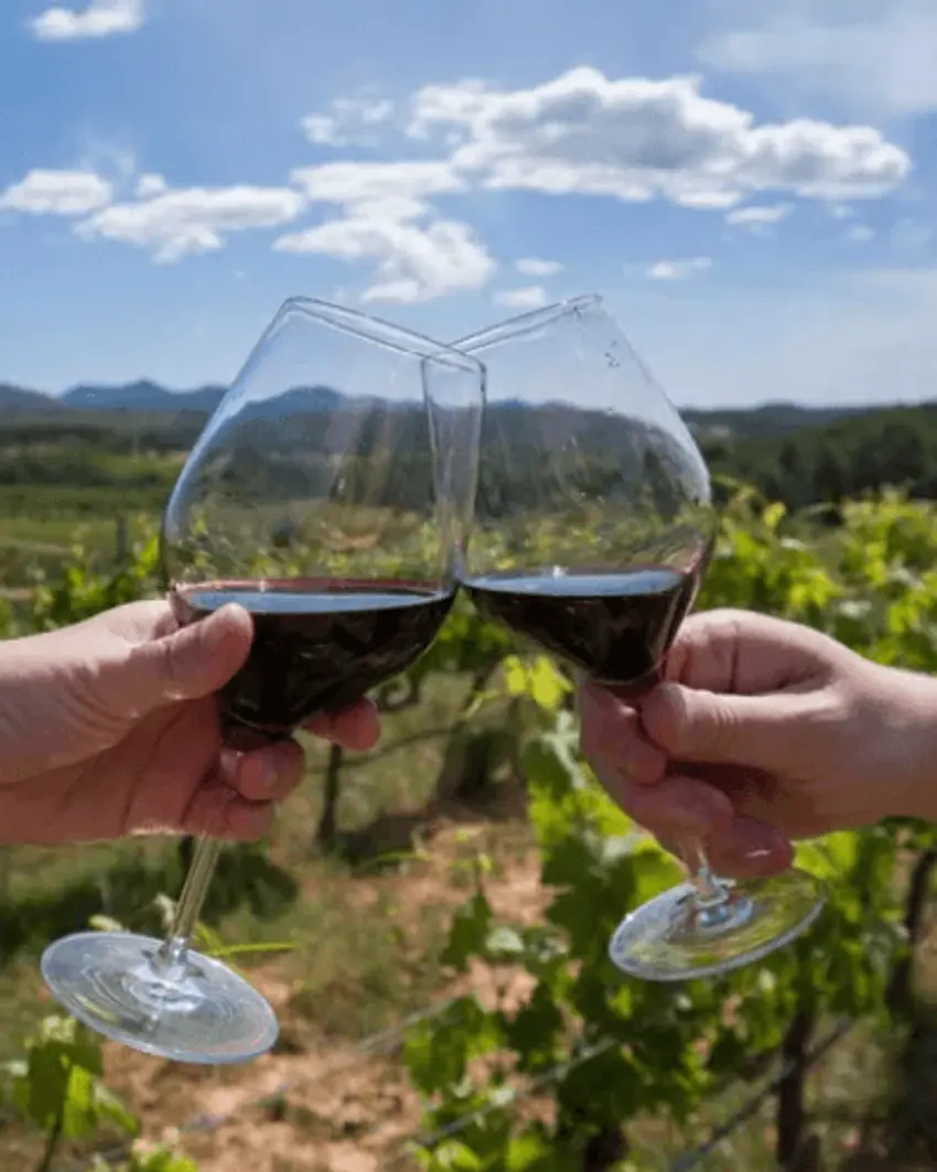 Paquete turistico bodegas en Mendoza