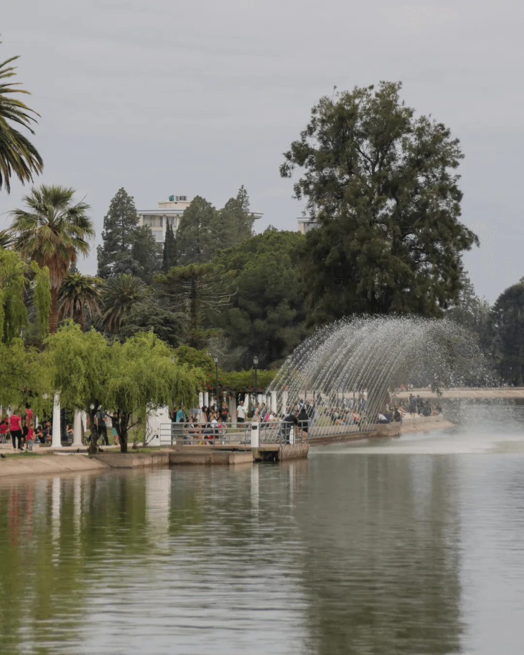 Lago del Parque