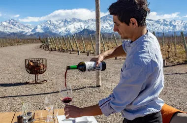 Ruta del Vino en Mendoza