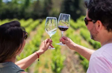 Bodegas en Mendoza Argentina