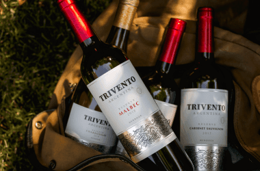 Tour bodega Trivento cata y degustación