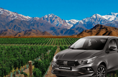 Tour privado de bodegas en Mendoza