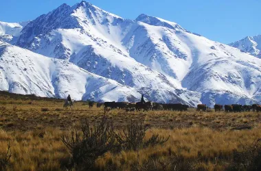Excursión al Valle de Uco Mendoza