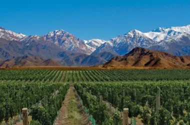Valle de Uco, Caminos del Vino mendoza