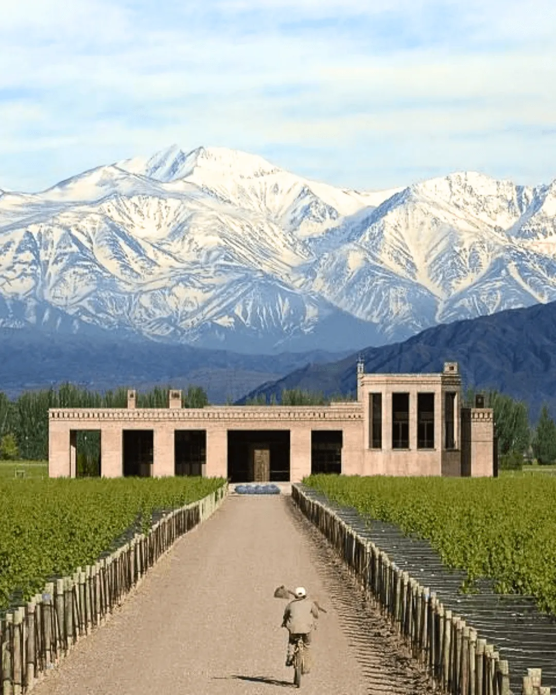 Tour Valle de Uco Mendoza