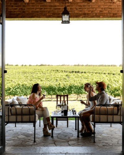 Bodega Mendoza con Almuerzo