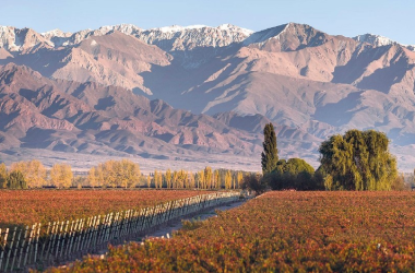 Actividades que hacer en Mendoza