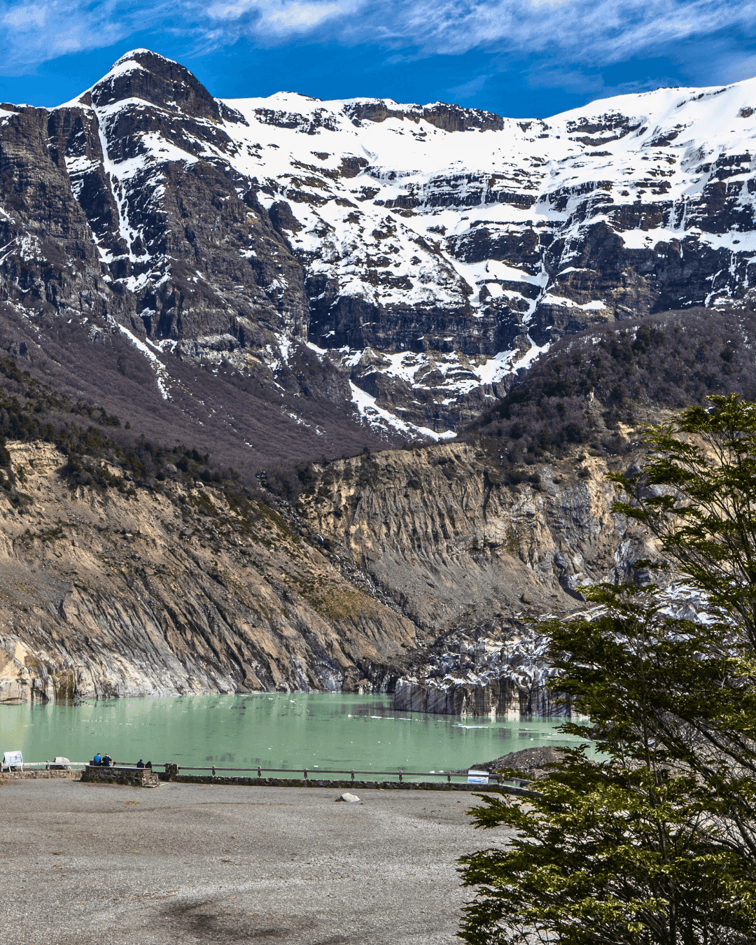 Excursión Cerro Tronador y Ventisquero Negro