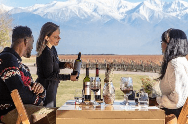 Tour privado de bodegas en Mendoza