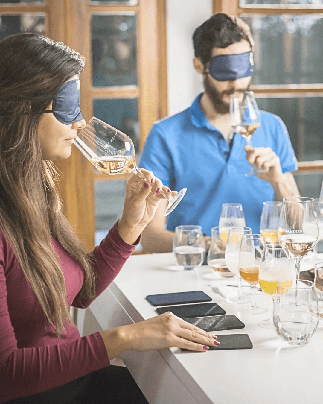 Degustación de vinos y espumantes en Luján de Cuyo Mendoza
