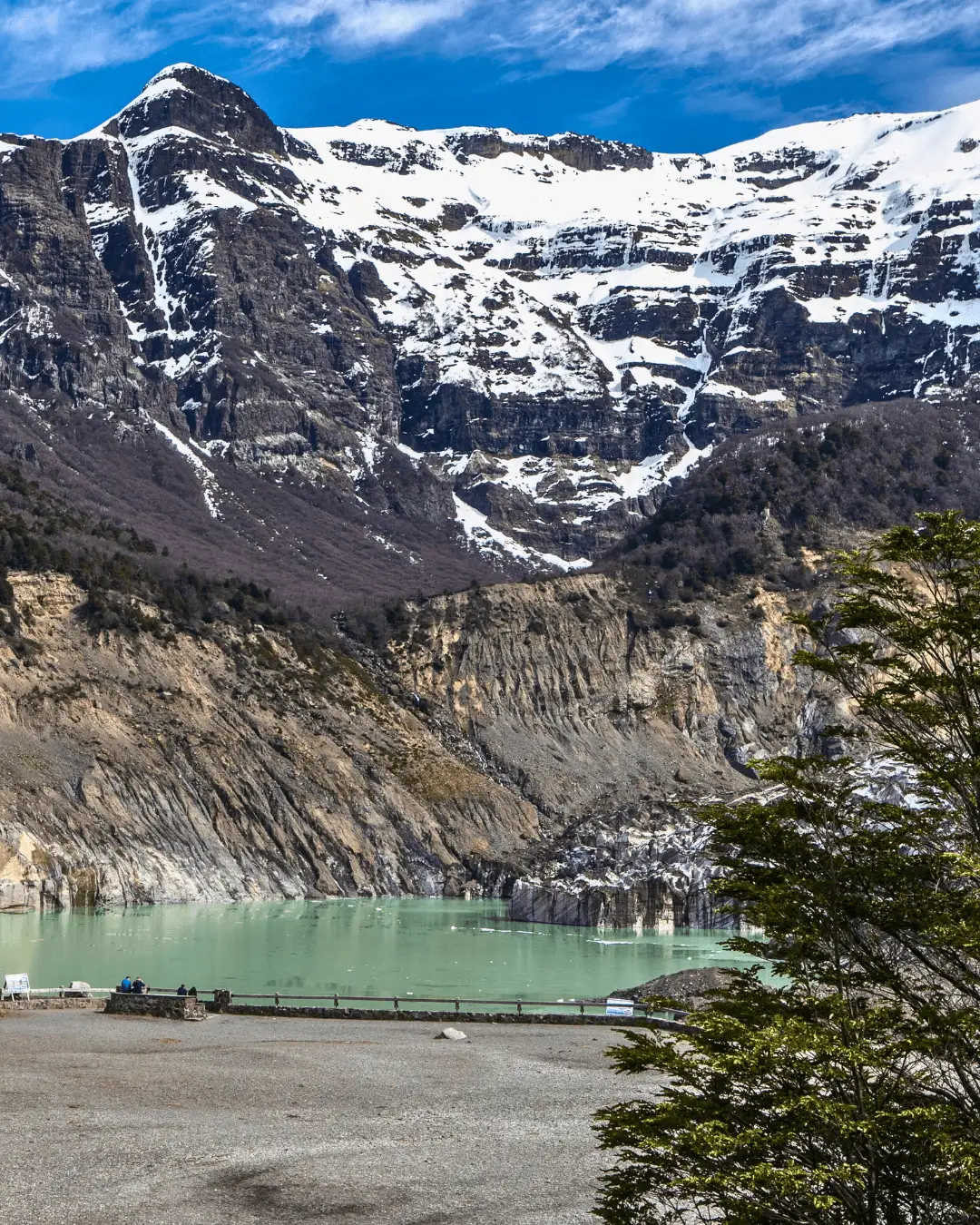 Excursión Cerro Tronador y Ventisquero Negro