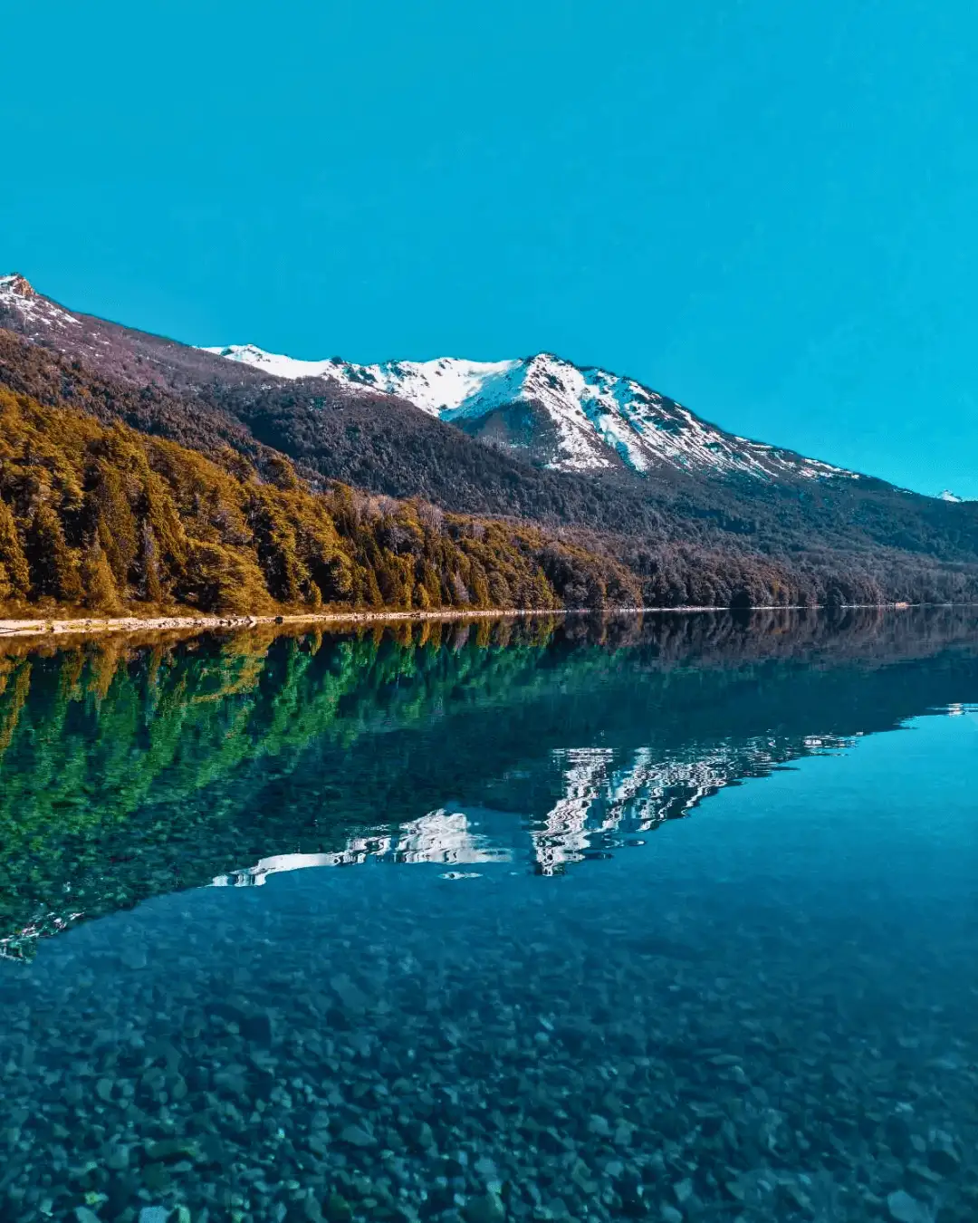 Excursión Circuito Grande Bariloche
