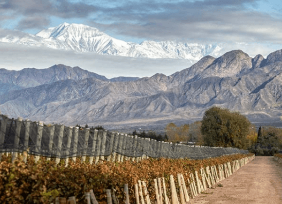 Bodegas en Mendoza Mendoza