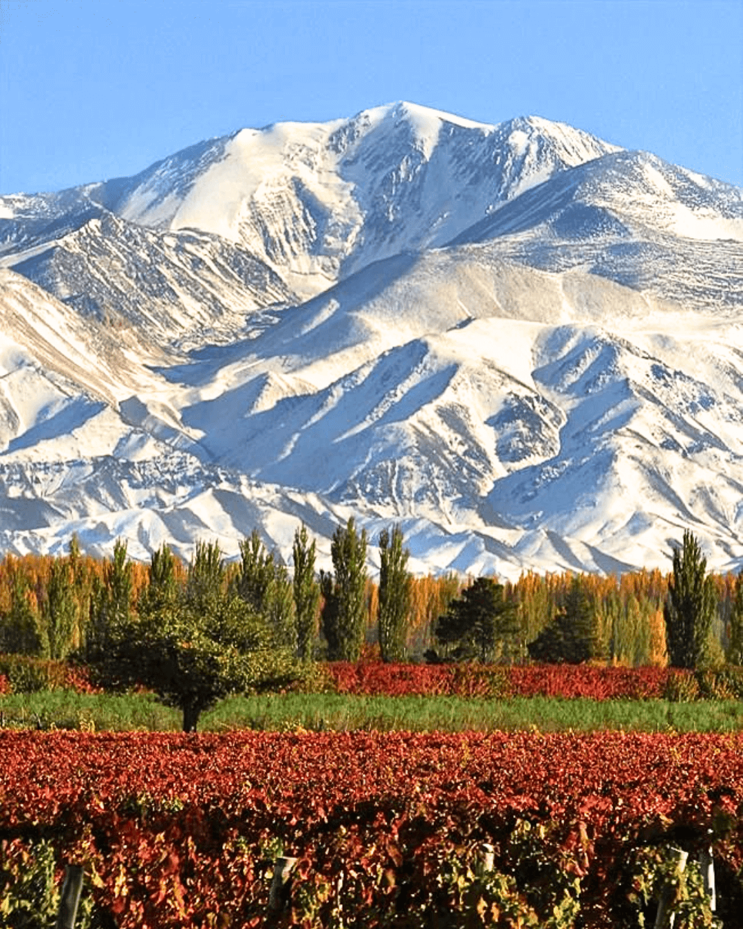 Turismo Valle de Uco